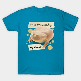 It is Wednesday my Dudes V3 T-Shirt